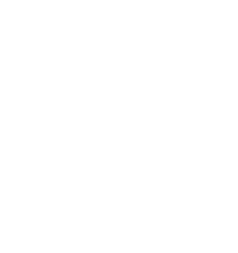 IBTI